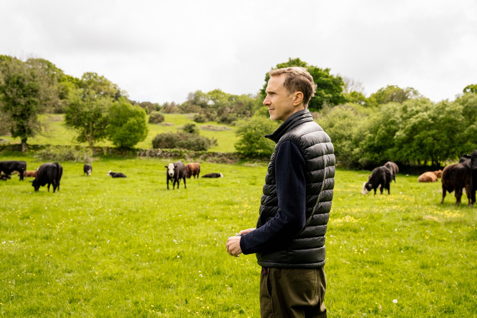 The Hawksmoor founder Huw, stood in a field with a herd of cows on a summers day. In the background there is a small hill rising up with lots of tree on it.
