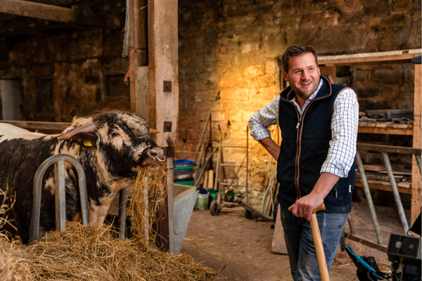 RARE and native BREEDs 14 Rare Breeds at Hawksmoor