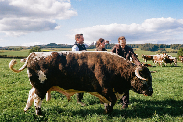 Borough 9 Rare breeds at Hawksmoor